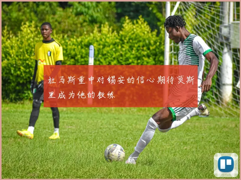 杜马斯重申对锡安的信心期待莫斯里成为他的教练