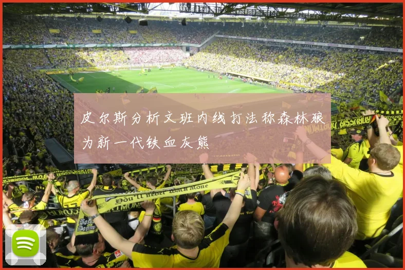 皮尔斯分析文班内线打法称森林狼为新一代铁血灰熊