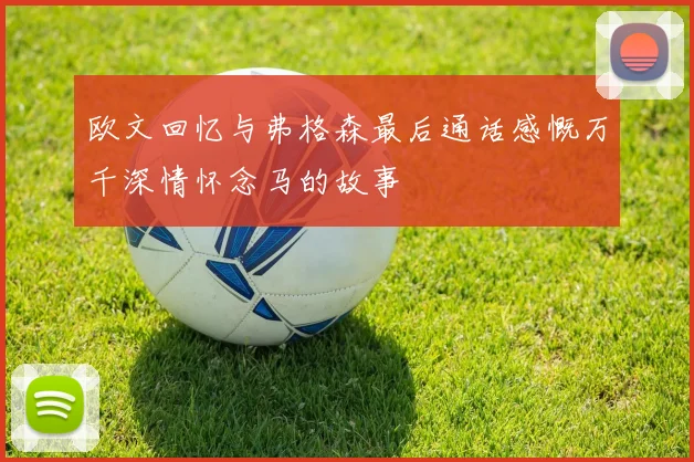 欧文回忆与弗格森最后通话感慨万千深情怀念马的故事