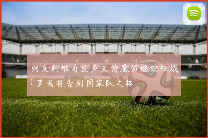 利瓦科维奇发声支持魔笛继续征战C罗或将告别国家队之路