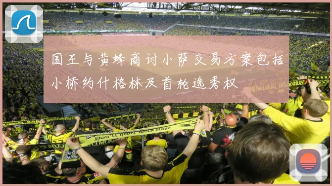 国王与黄蜂商讨小萨交易方案包括小桥约什格林及首轮选秀权